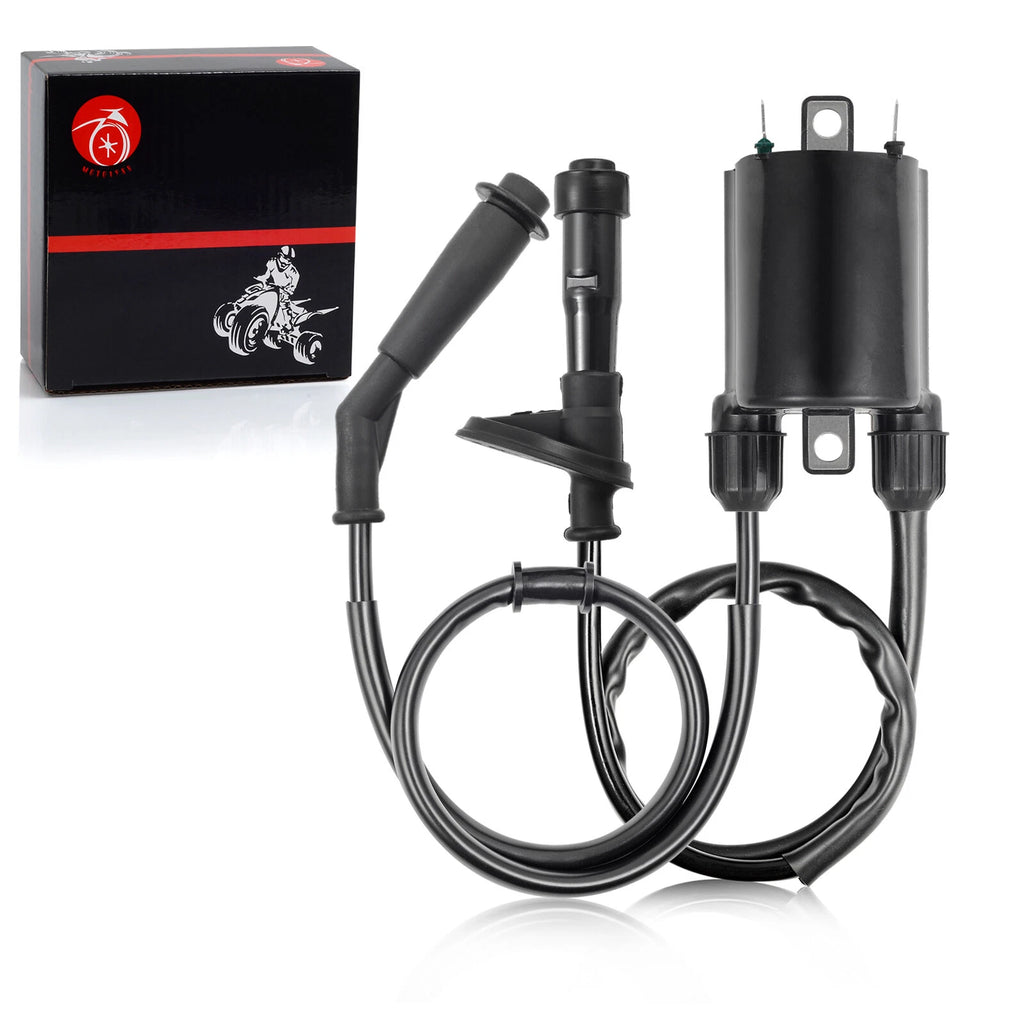2X Ignition Coil with Spark Plug Cap for Honda VT600C VT600Cd Shadow VLX (1988–2007)