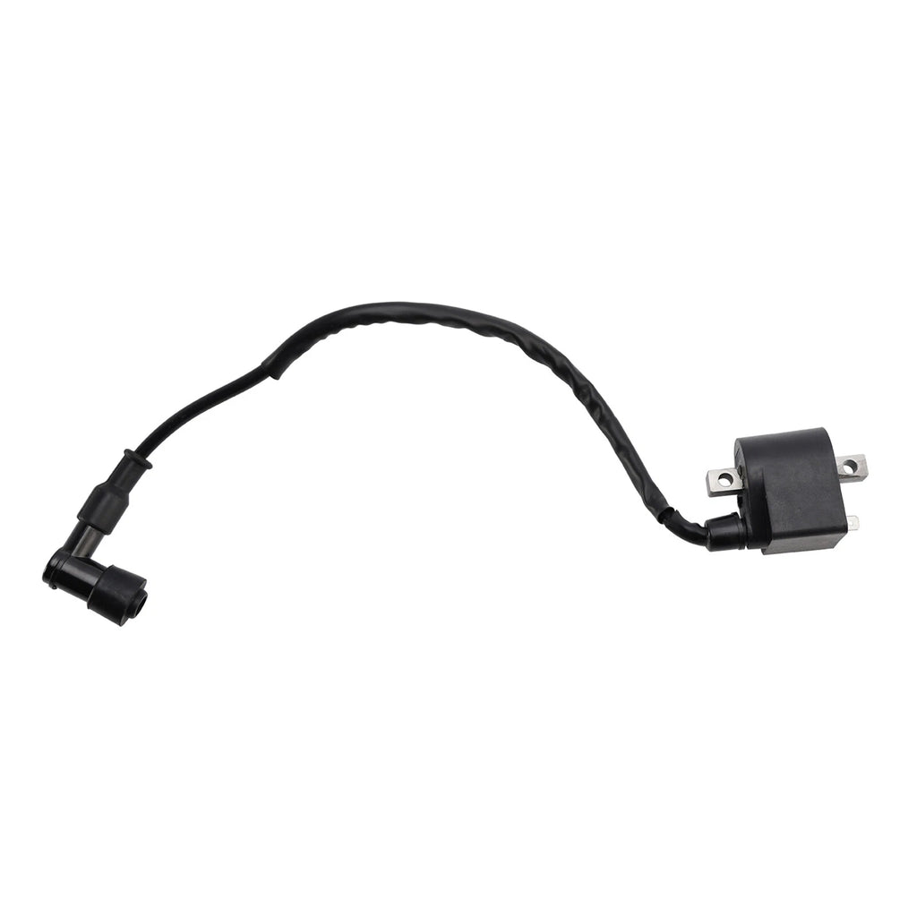 CDI Box Igniter for Suzuki TS50 TS50X LT50 (1990–2005)
