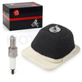 Air Filter Element & Spark Plug for Yamaha TTR125 (2000–2024)