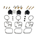 Carburetor Repair Kit for Yamaha Outboards (6H4-W0093-03-00)