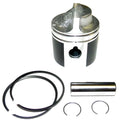 WSM Piston Kit for Johnson Evinrude 9.9 15 Hp (1974–1992) STD 100-101K
