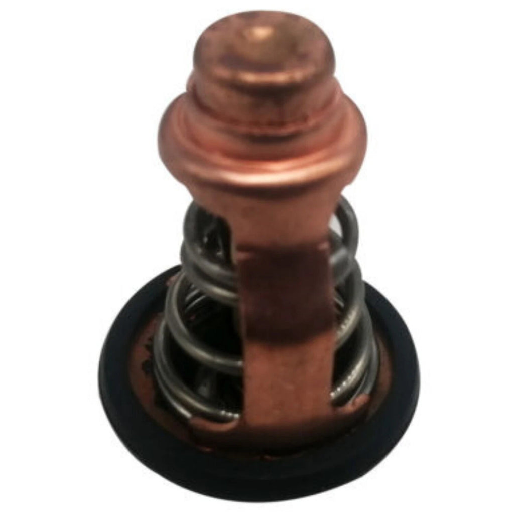 6D9-12411-00 Thermostat for Yamaha F80B F100D (4-Stroke Outboard)
