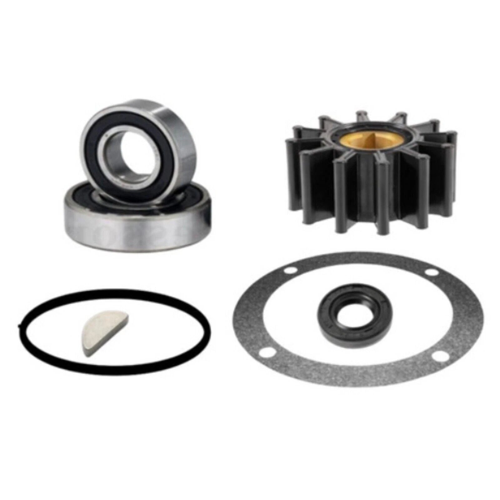 Major Repair Kit for Perkins 4107 4108 (Includes Sherwood G65 Water Pump)