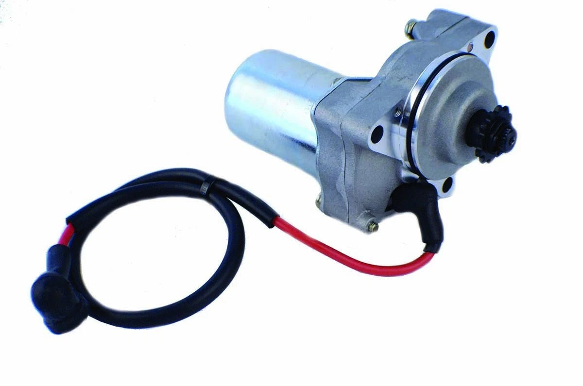 WSM 12V CCW BMS Motor Sports 12 Teeth for