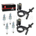 Ignition Coil Spark Plug + Cap Set for Honda Shadow Aero 1100 (1998–2002)