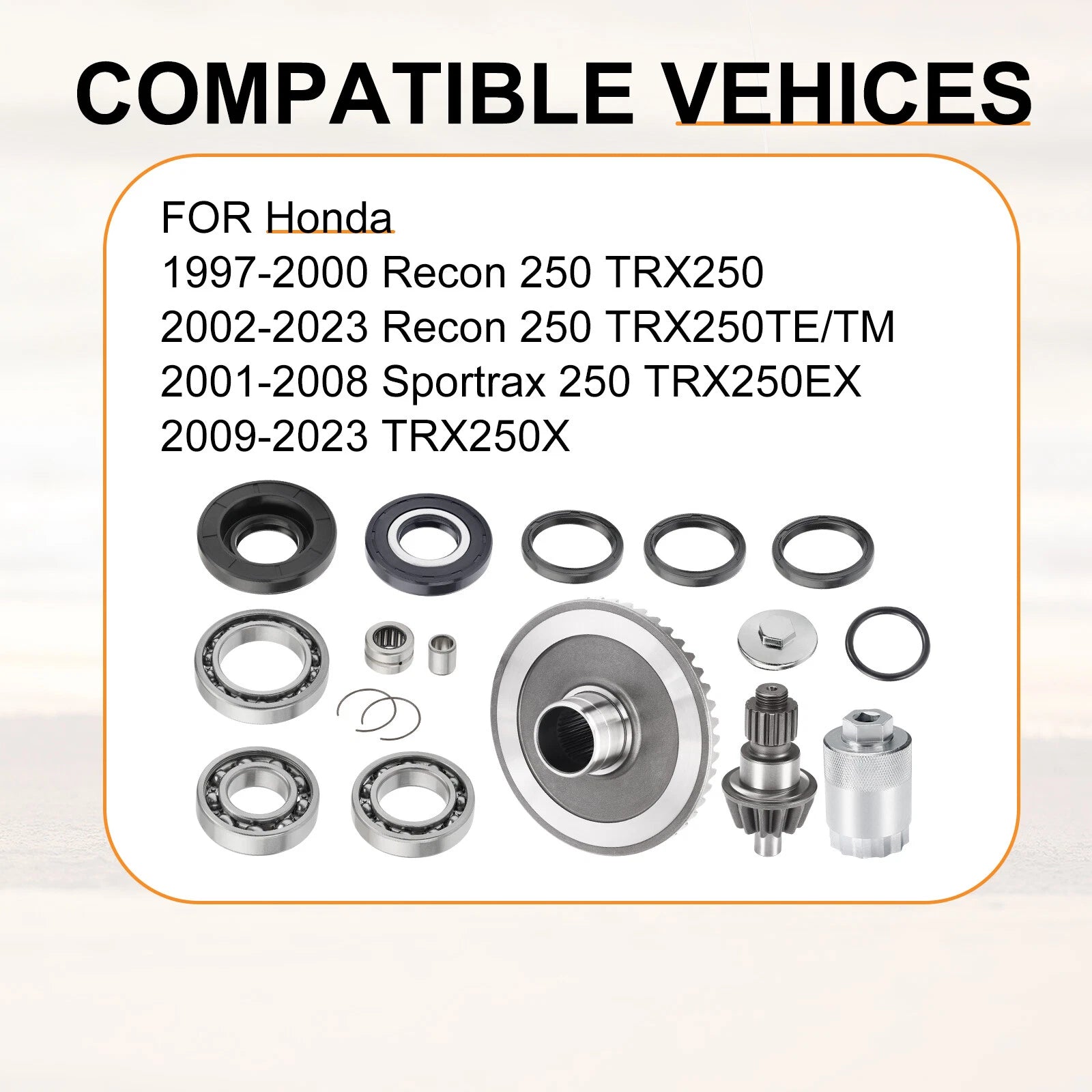 Rear Differential Ring Pinion Gear Bearings for Honda Recon 250 (2002–2023)