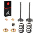 Piston Kit Ring Valve 0.25mm Oversize for Yamaha Golf Cart G2 G5 G8 G9 G11