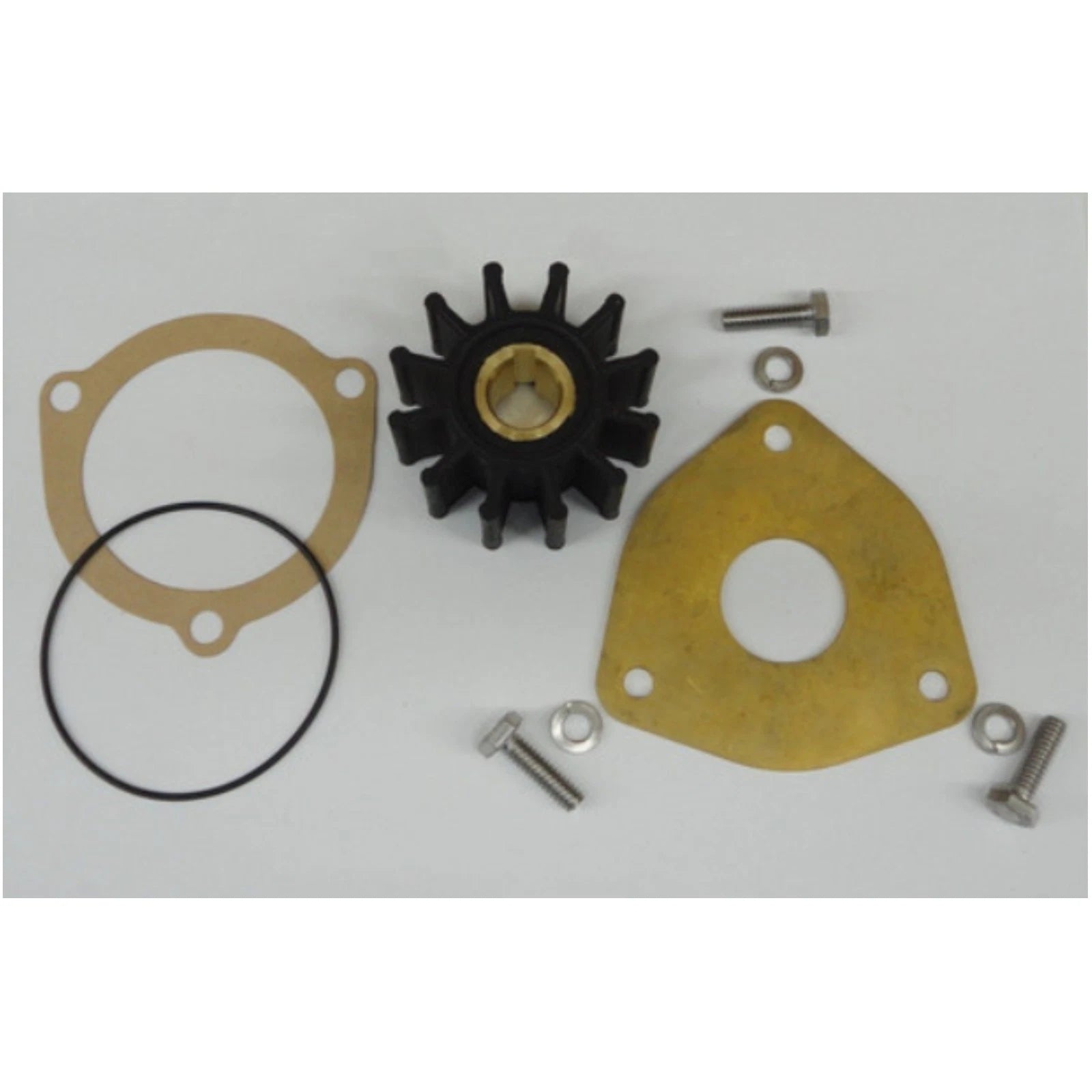 Minor Repair Kit for Sherwood Sea Water Pump G1 G2 G20 G21 (12399, SHE-12399, 12399-SHW)