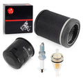 Air Filter, Oil Filter, Spark Plug for Kawasaki Prairie 360 (2003–2013)