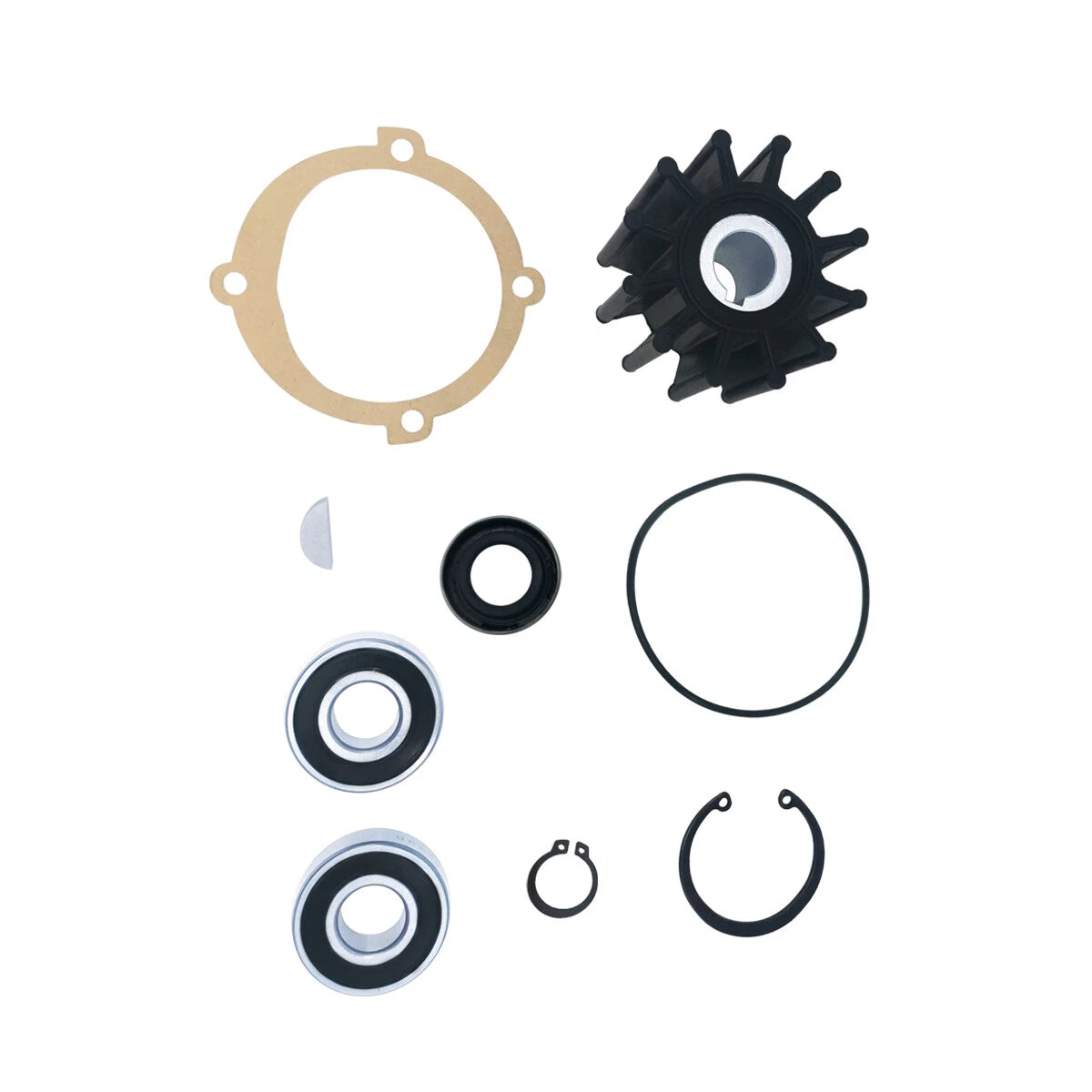 Major Repair Kit for Sherwood Pump P102 P105 P109 P110 (10615K)