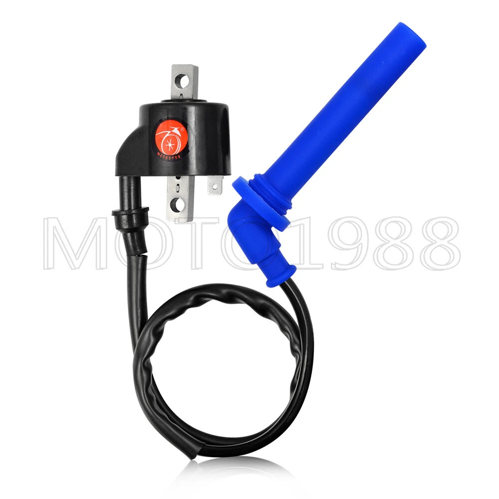 Ignition Coil & Spark Plug for Polaris Predator 500 (2003–2007)
