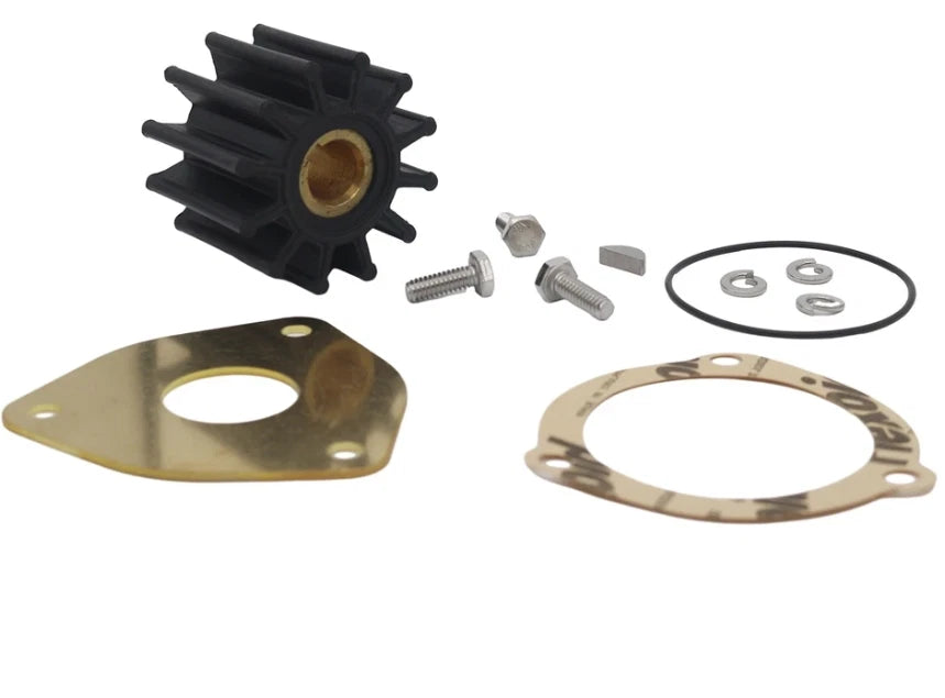 Sherwood Pump Minor Repair Kit 23981 for GC1 GC4 GC5 G151 G155 G157 (15000)