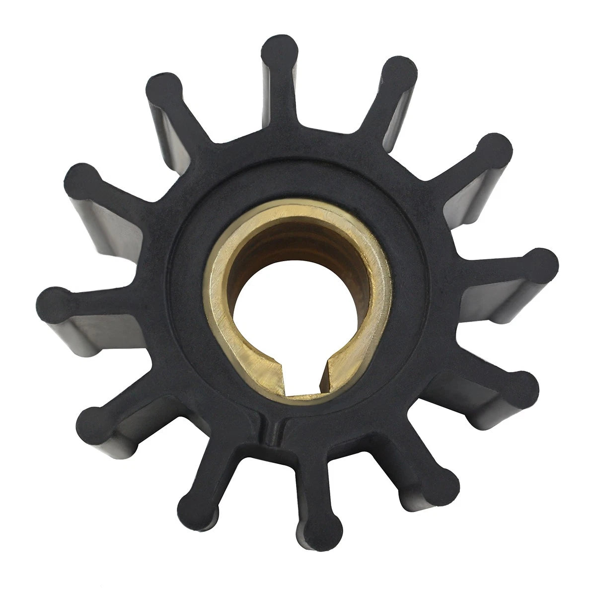 Oberdorfer Water Pump for M Model 301 302 303 (Flexible Impeller 6620 8647)