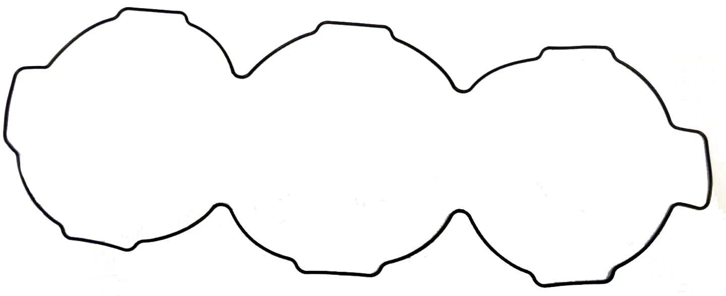 WSM O-Ring for