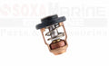 Thermostat T15-04000010 for Parsun Outboard F2.6 F4 F5 F15A F20A