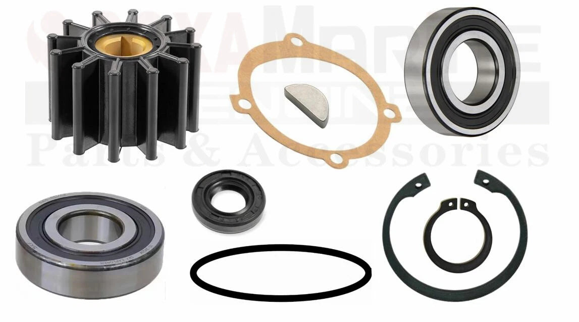 Major Repair Kit for Sherwood Pump P-102 P-105 P-109 P-110