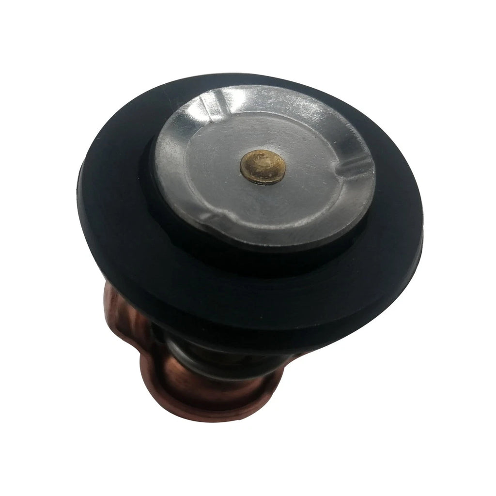 Thermostat for Yamaha 225 250 300 HP Outboard Motors (6CE-12411-00)