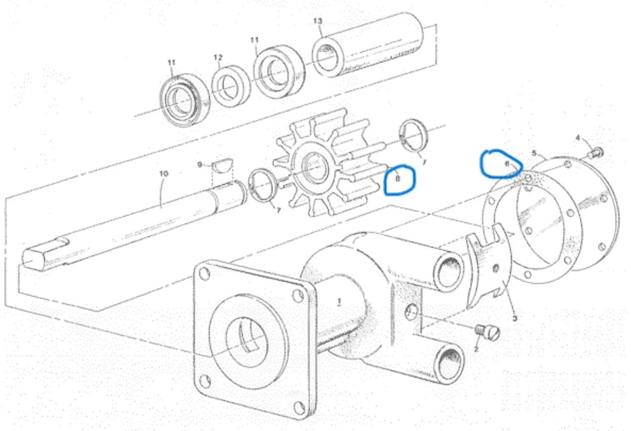 Impeller Kit for Westerbeke 33112, Sherwood 10077K (Raw Sea Water Pump)