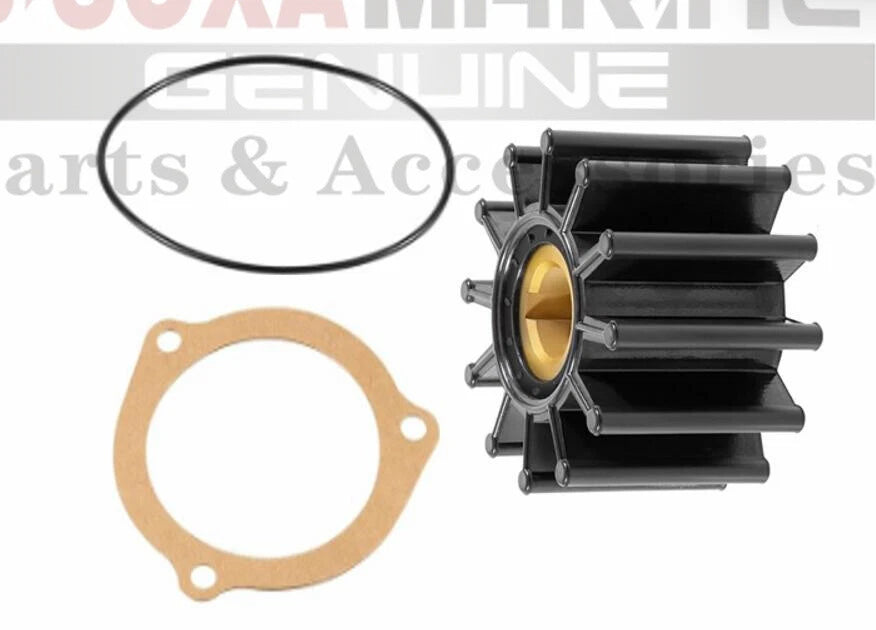 Minor Repair Kit for Sherwood Pump (Replaces 23976, G1009, G4, G5, G7, G8, G46, G85, K90, M71)