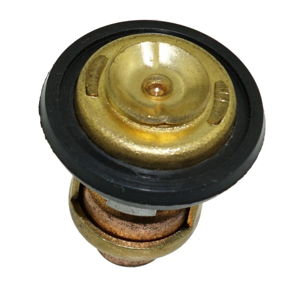 Thermostat 66M-12411-00-00, 6G8-12411-00-00 for Yamaha 4-Stroke