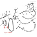 V Belt for MerCruiser Sterndrive 4.3L 5.0L 5.7L (Engines 57-816295Q 57-816295T)