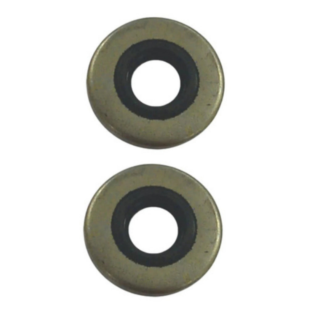2Pcs Marine Oil Seal for Johnson/Evinrude 318973 321480 GLM 86170
