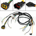 Electrical Wiring Harness for Yamaha YFS200 (2003–2006)