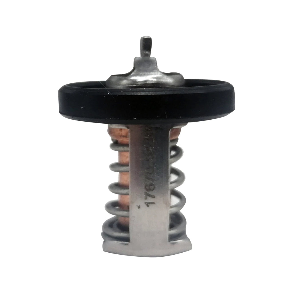 Thermostat 5036226 for Johnson Evinrude OMC 25HP (J25 BJ25)