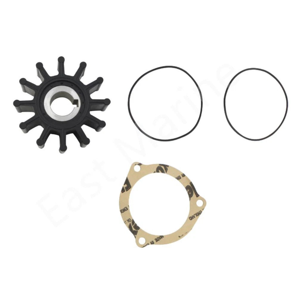 Minor Repair Kit for Sherwood Pump G903MNK G908MNK G11MNK (09000K)