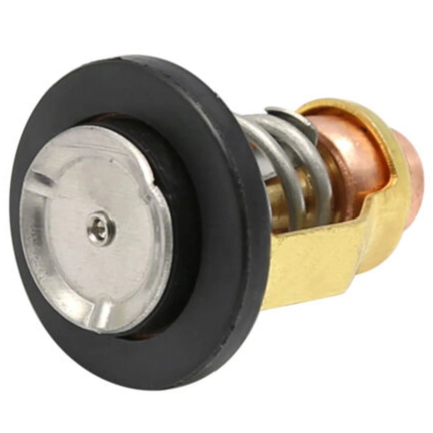 Thermostat for Yamaha Outboard Motor 150 200 225 250 (4-Stroke) 6CB-12411-01