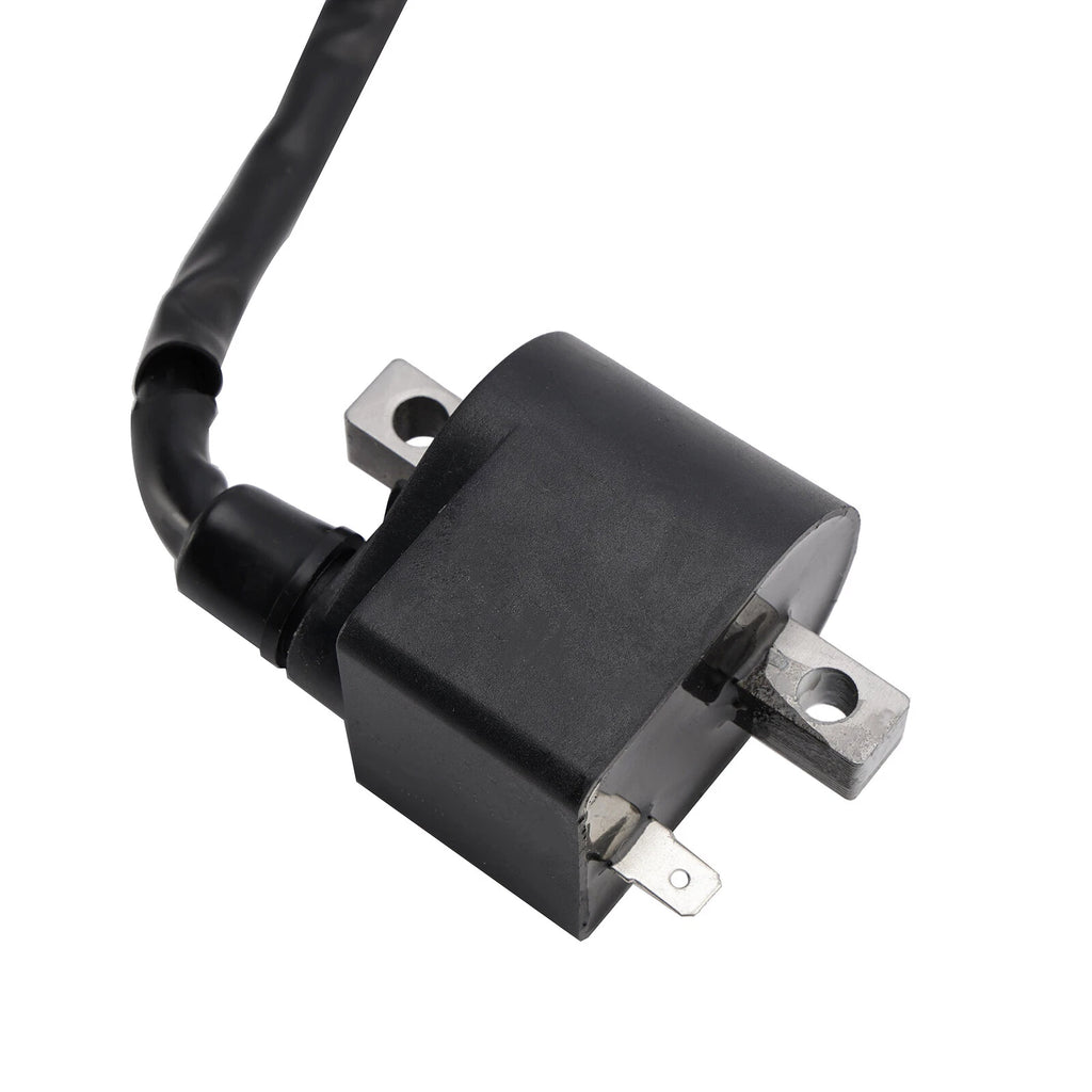 CDI Box Igniter for Suzuki TS50 TS50X LT50 (1990–2005)