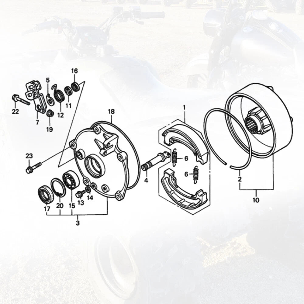Rear Brake Drum Hub Plate Cover Shoes Bearing Seal for Honda Recon 250 (1997–2023)