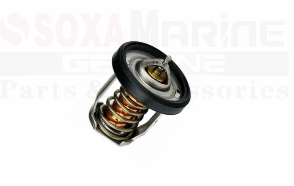Outboard Thermostat Kit for Suzuki DF 2.5 4 5 6 9.9B 15A (1999–2023) 17670-91J00 17670-91J02