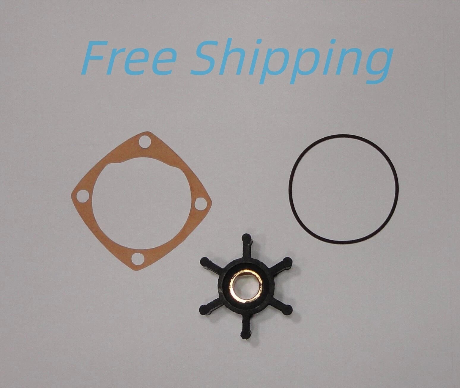 Impeller Kit for Oberdorfer 6593 Onan (132-0316, 132-0277, 202M-11)