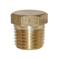 Set of 2 Pipe Plugs for Universal Marine Applications 1/4" NPT 22-36382 18-4256