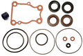 Seal Kit for Yamaha 25HP 30HP 40HP Lower Gearcase (67C-W0001-21, 67C-W0001-22)
