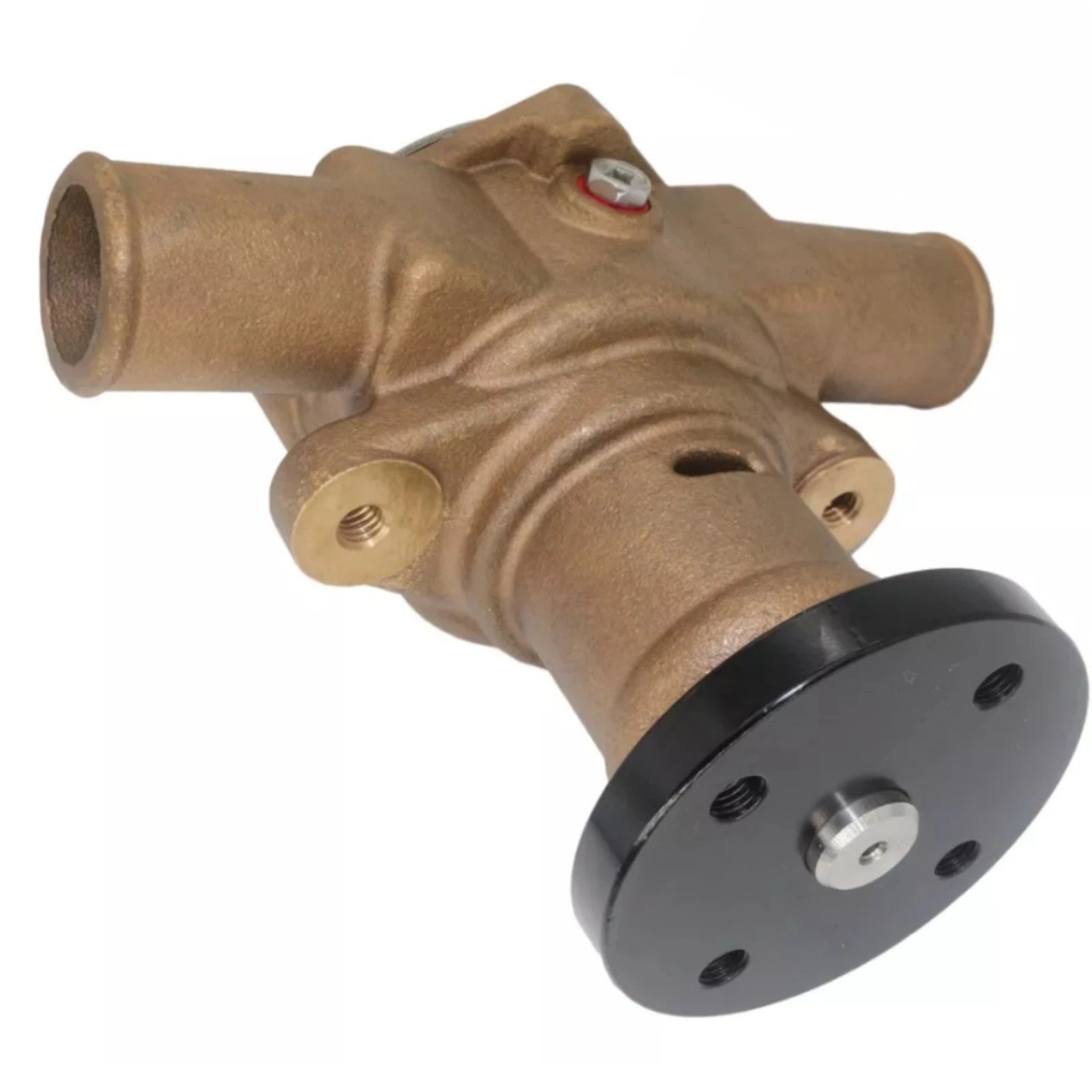 Raw Water Pump for Sherwood P1014 P101 Crusader 40050 Pleasurecraft (N/A)