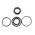 Trim Cylinder Ram Rebuild Kit for Volvo Penta SX-A DPS-A (3889958, 3889954)