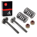 Intake Exhaust Valve Seals Kit for Club Car DS Precedent (1992–Present)