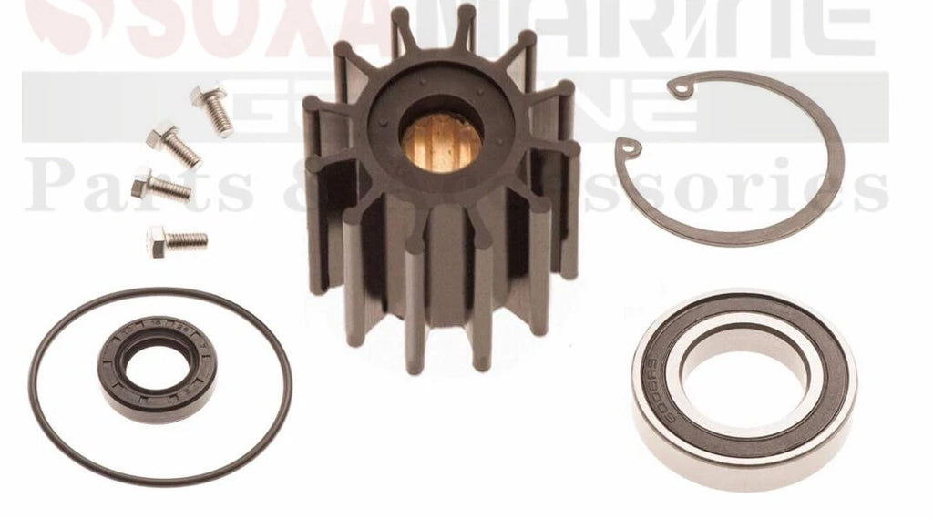 Rebuild Service Kit for Volvo Penta Pump V8-350 V8-380 V8-430 (21611833 22367259)