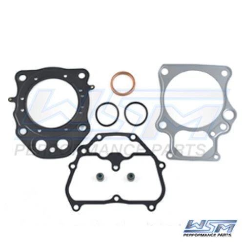 Gasket Kit for WSM