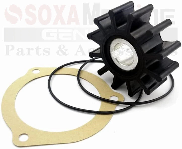 Minor Repair Kit for Sherwood Pump (G903MNK, G908MNK, G11MNK)