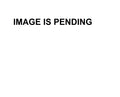 Starter Repair Kit for PH185-0008
