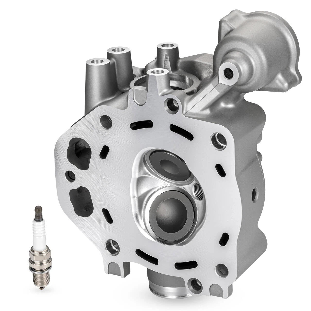 Cylinder Head Assy for Honda TRX420 TRX500 SXS500M2 (12200-HP7-A01, 12200-HP7-A00)