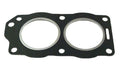 Marine Head Gasket for Johnson Evinrude (318914, 320533, 330818)