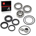 Rear Differential Bearings Seals Kit for Honda TRX300 TRX300FW (1988–2000)