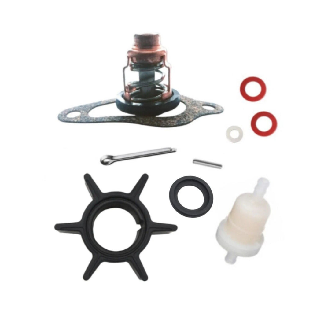 Maintenance Repair Kit for Tohatsu 6HP 8HP 9.8HP Outboard Motors (3V1-87500-0)