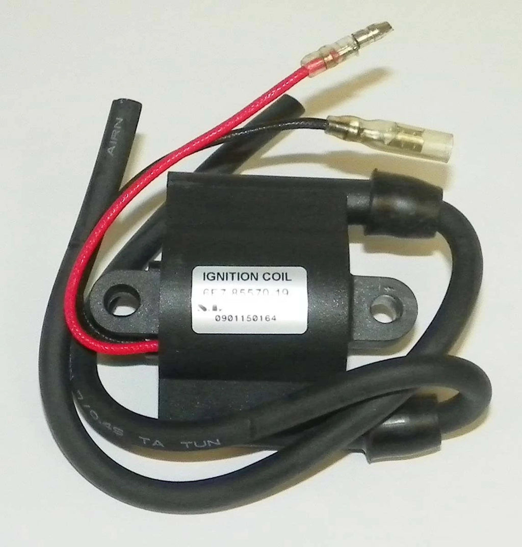 Ignition Coil for Yamaha 15-25 Hp 4-Stroke (2008–2017) 380-5113 6F5-85570-12-00