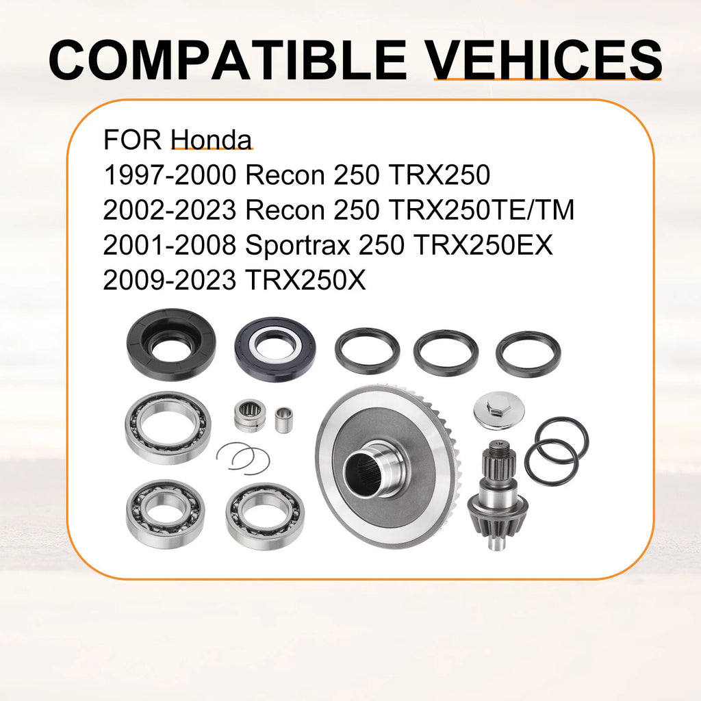 Rear Differential Rebuild w/ Gear Kit for Honda Recon 250 TRX250 (1997–2023)