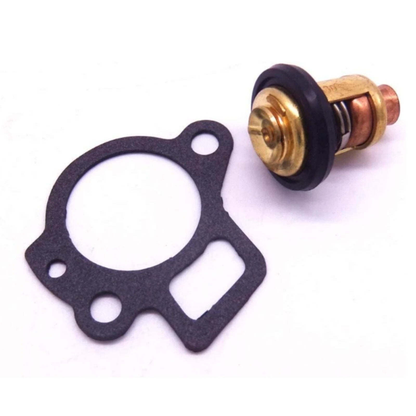 Thermostat W/Housing for Yamaha Outboard Motor (66M-12411-00, 66M-12411-01)